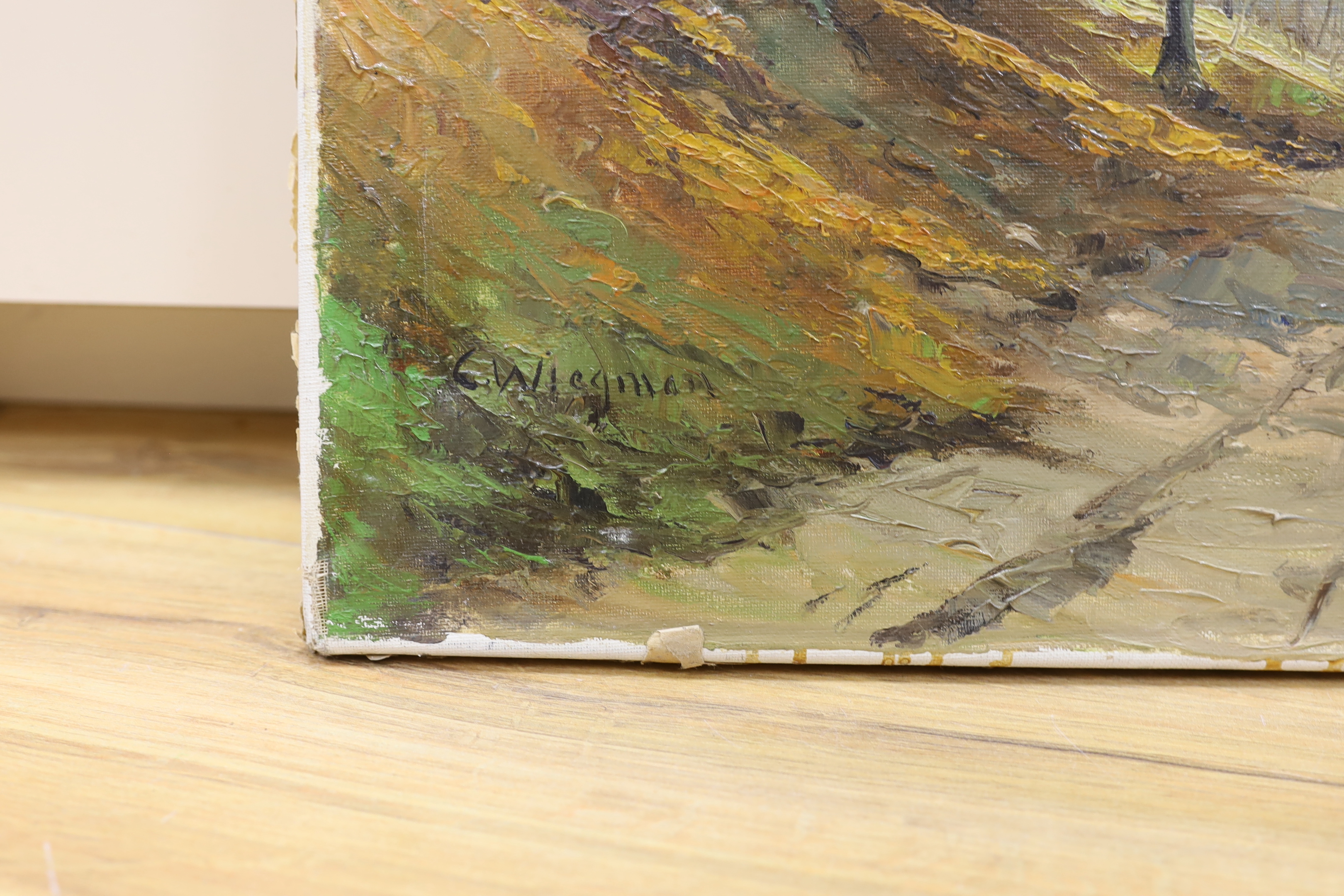 C. Wiegman (20th. C) oil on canvas, Woodland track, signed, 40 x 50cm, unframed